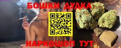 индика Лесосибирск