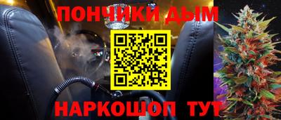 индика Лесосибирск