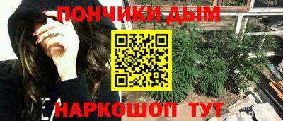 индика Лесосибирск