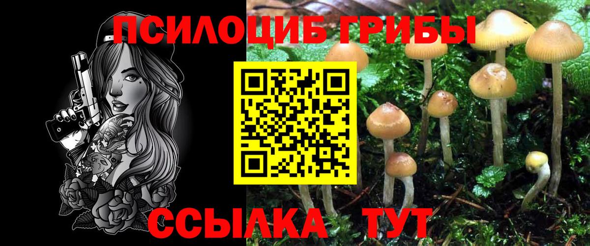 Галлюциногенные грибы мицелий Черкесск