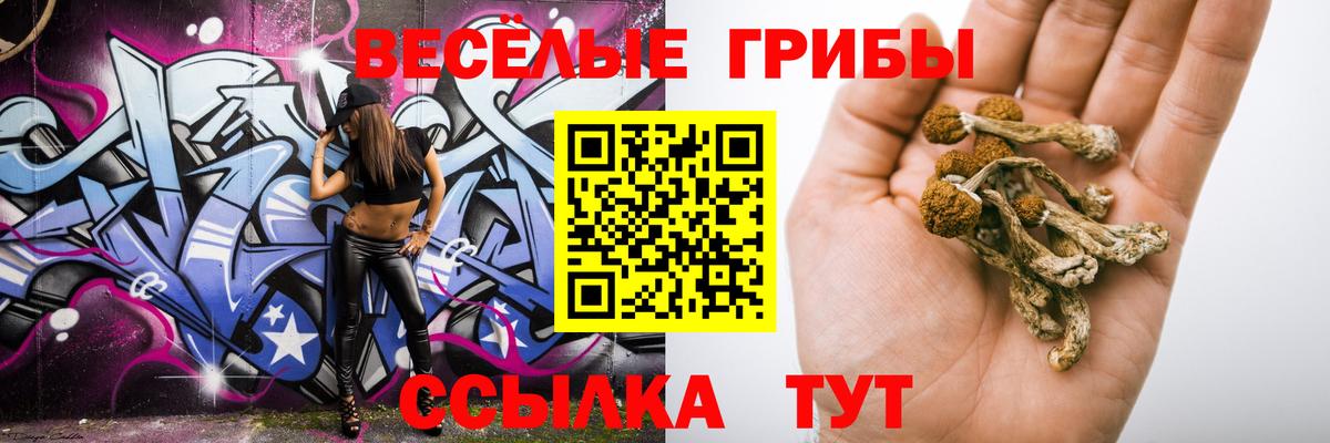 Черкесск  Псилоцибиновые грибы ЛСД  Вход с VPN 